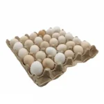 بيض بلدى-Bouhrat