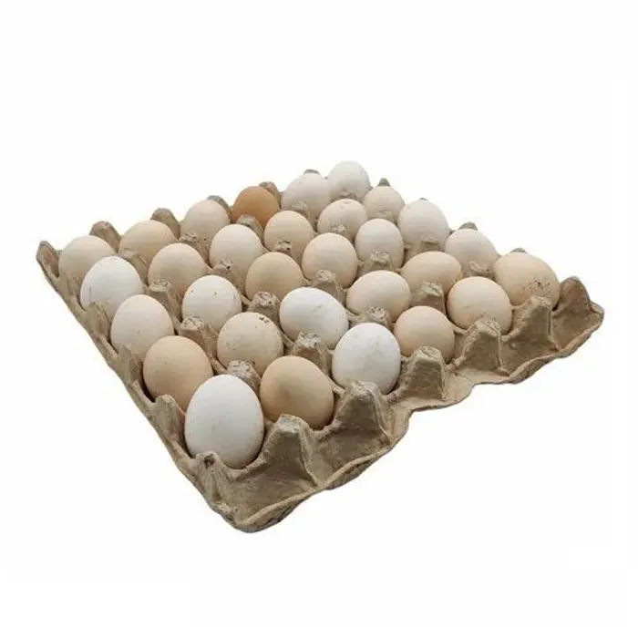 بيض بلدى-Bouhrat